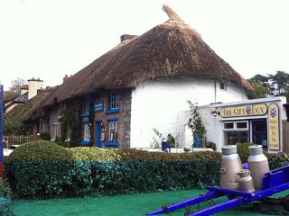 Berkeley Lodge Limerick Junction Buitenkant foto
